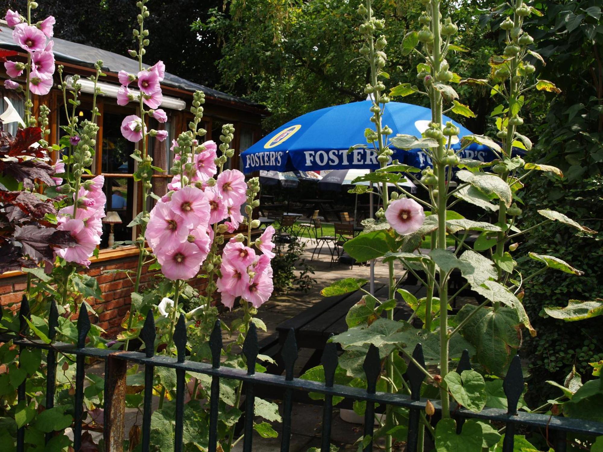 The Olde Windmill 4*
